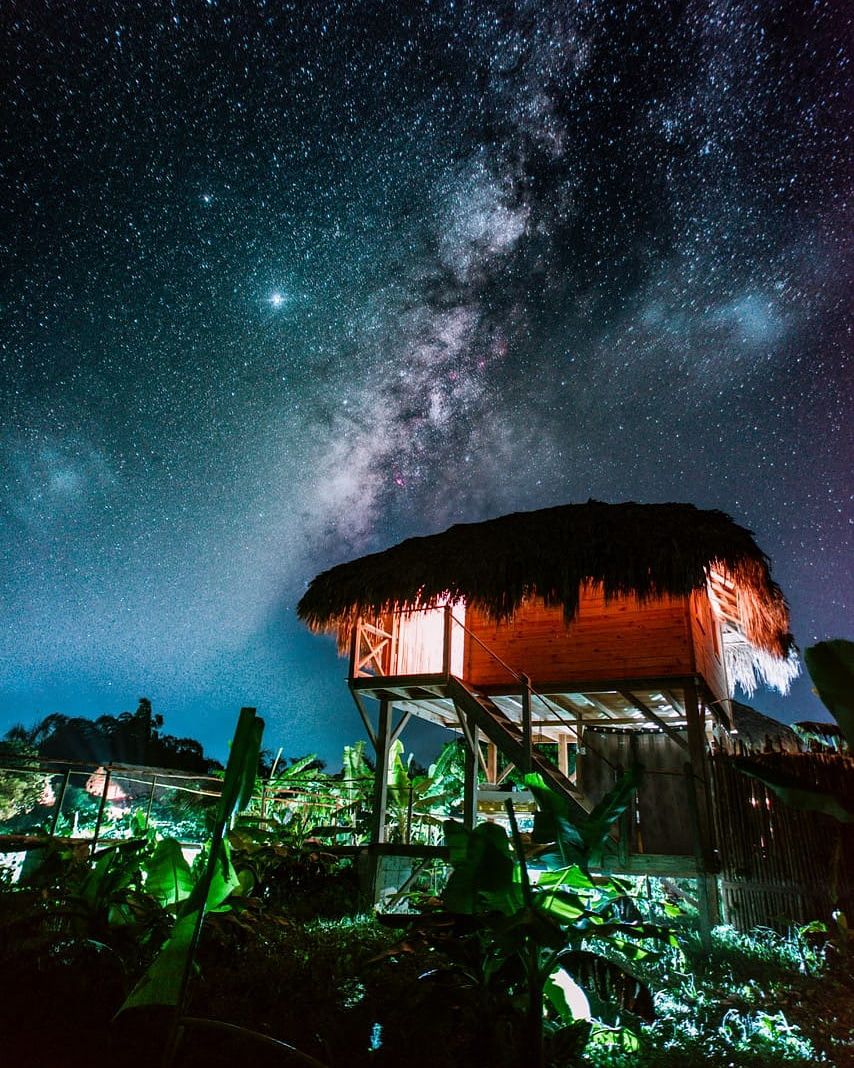 Treehouse under the Milky Way