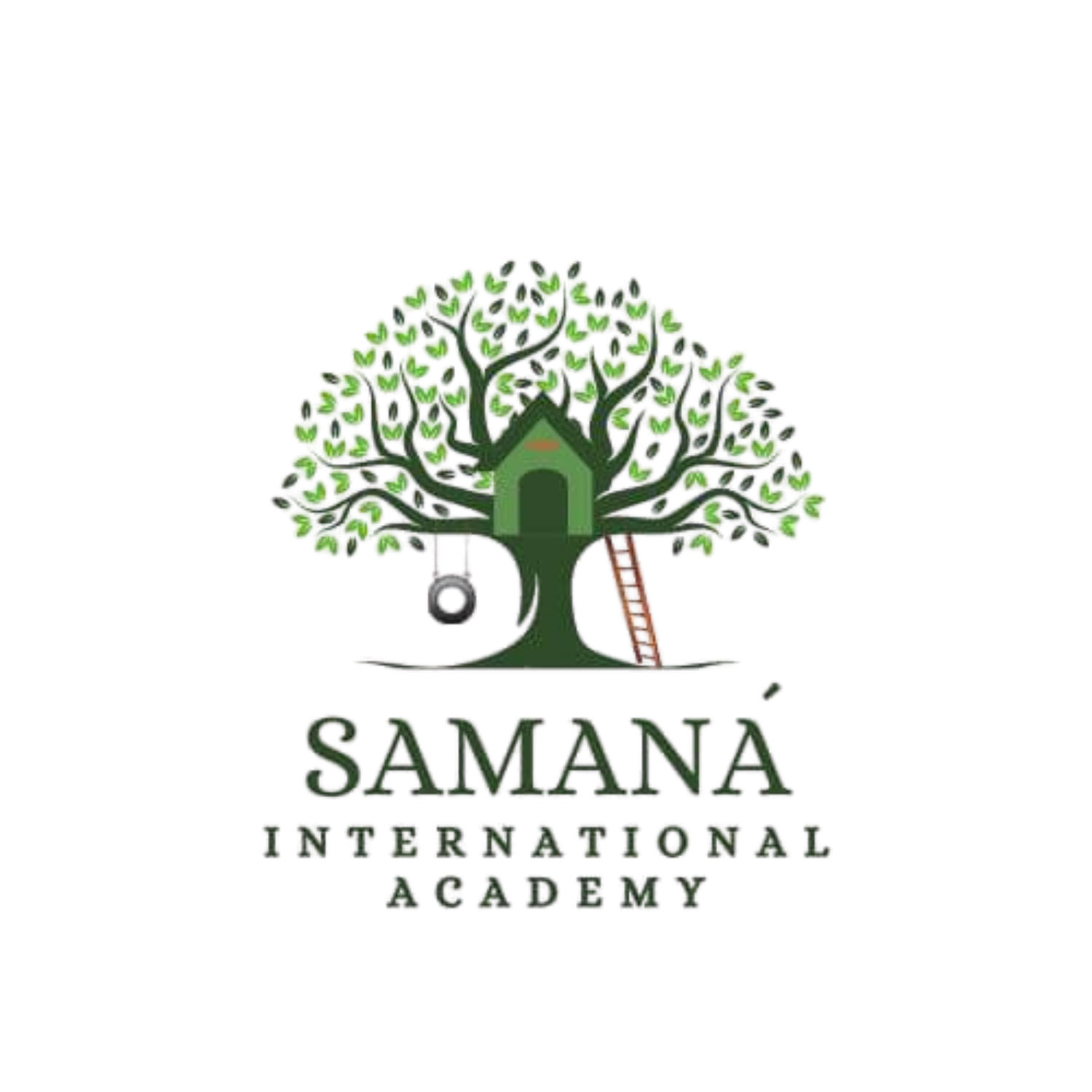Samaná International Academy logo